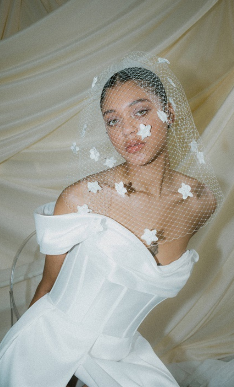 Blossom Statement Ivory Long Birdcage Blusher Veil With 3D Flowers