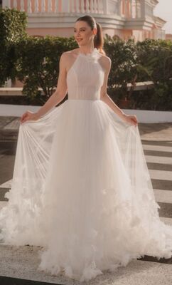 Dreamy Collection 