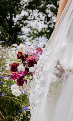 EDit Veils
