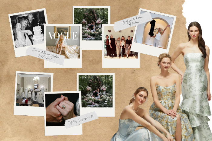 On Our Radar: August Edition