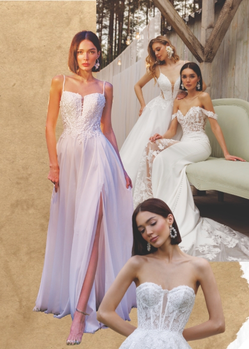Collection In Focus: Jarice