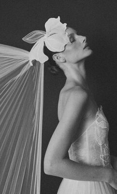 A bold take from Mira Zwillinger