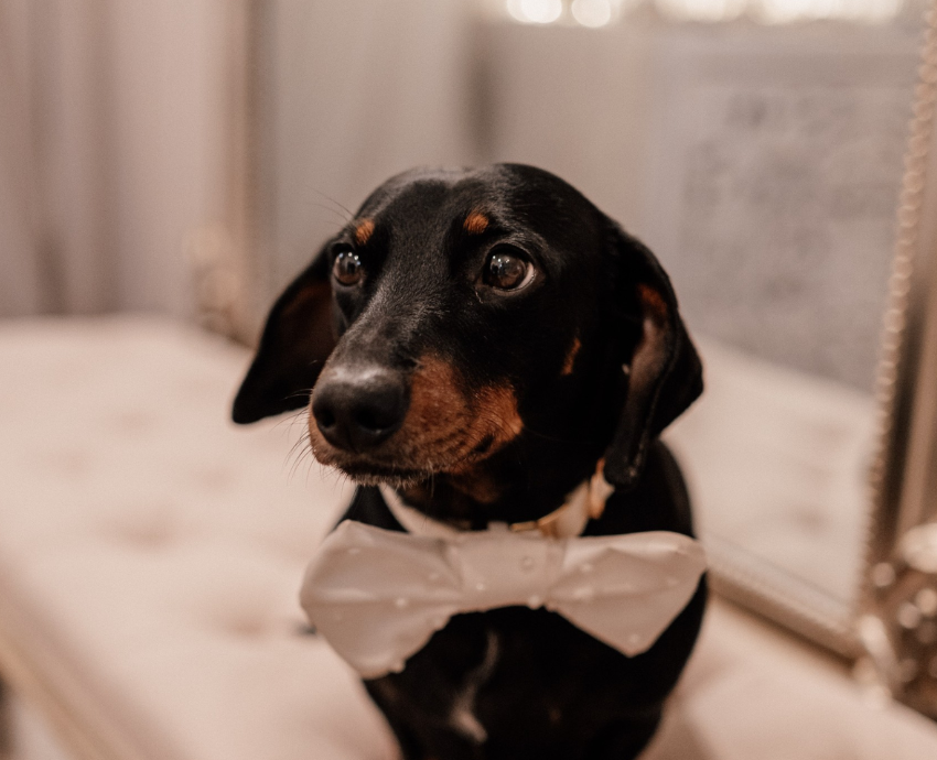 Moments that matter: inside bridal's most unforgettable appointments