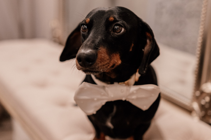 Moments that matter: inside bridal's most unforgettable appointments