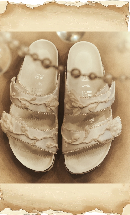 Danielle Frankel x Birkenstock Danielle Frankel x Birkenstock