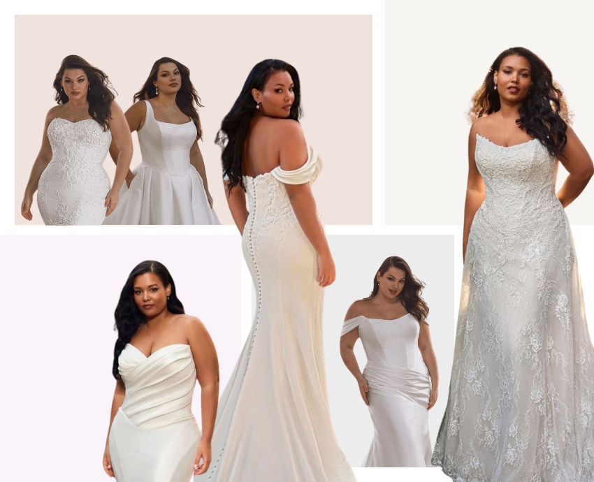 MAIN Portrait Bridal Collective 2026 NEW MAIN Portrait Bridal Collective 2026 NEW